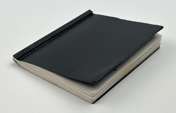 True Transparency: The Epstein Black Book